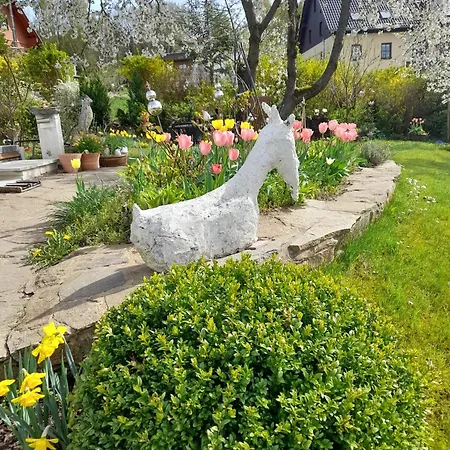 Ferienwohnungen Thomsen Bergdorf Pobershau Marienberg Buitenkant foto